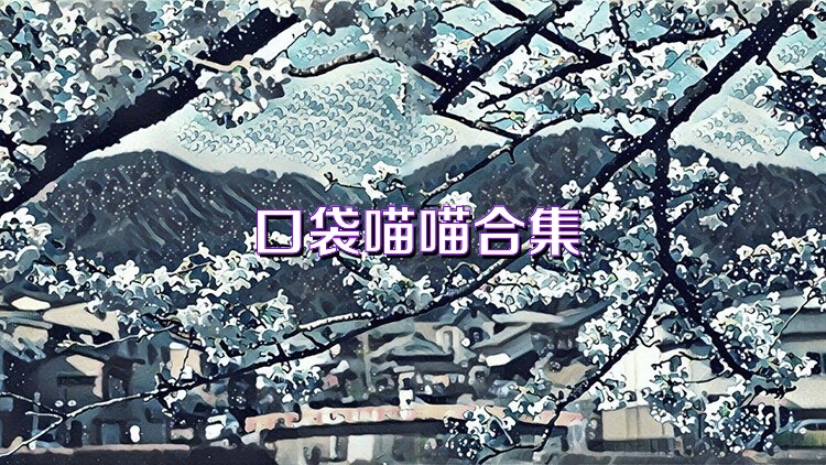 口袋喵喵合集