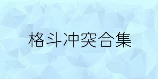 格斗冲突合集