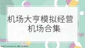 机场大亨模拟经营机场合集