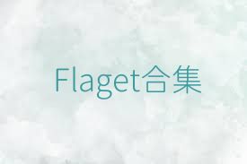 Flaget合集