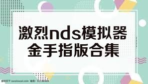 激烈nds模拟器金手指版合集