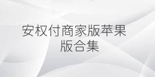 安权付商家版苹果版合集