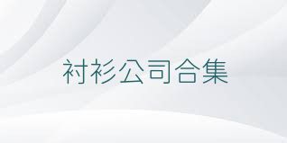 衬衫公司合集