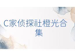 C家侦探社橙光合集