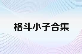 格斗小子合集