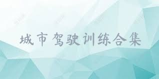 城市驾驶训练合集