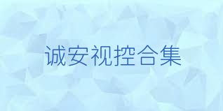 诚安视控合集