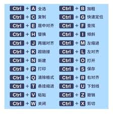 word实用快捷键有哪些