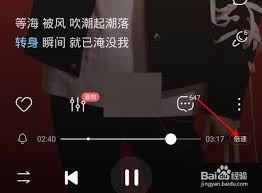 酷狗音乐闪光灯模式怎么设置