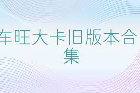 车旺大卡旧版本合集