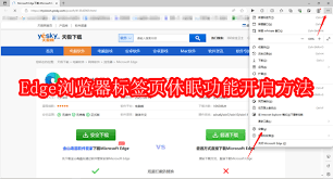 如何开启360安全浏览器睡眠标签功能