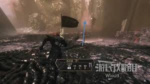 光与影33号远征队纯洁无瑕怎么获取