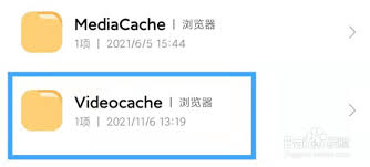 小米浏览器缓存视频存放在哪里
