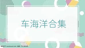 车海洋合集