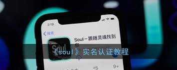 soul如何查看对方实名信息