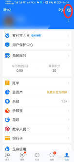 支付宝刷脸功能开通位置在哪