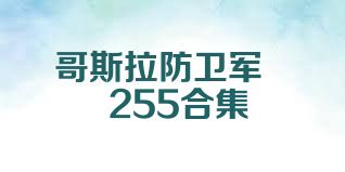 哥斯拉防卫军    255合集