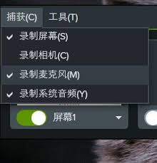Camtasia Studio如何设置摄像头大小
