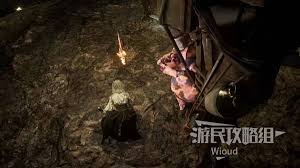 光与影33号远征队吕涅繁叶结怎么获取