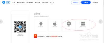 钉钉怎样开启容器WebGL特性