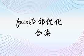 face脸部优化合集