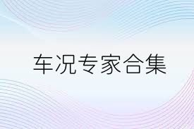 车况专家合集