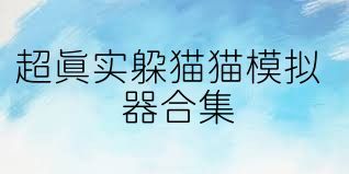 超真实躲猫猫模拟器合集