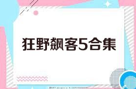狂野飙客5合集
