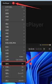 PotPlayer怎么禁用暂停功能