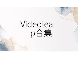 Videoleap合集