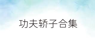 功夫轿子合集