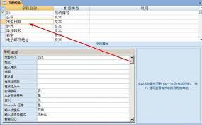 access单元格怎么设置输入掩码格式