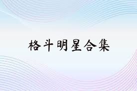 格斗明星合集