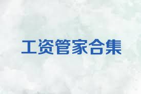 工资管家合集