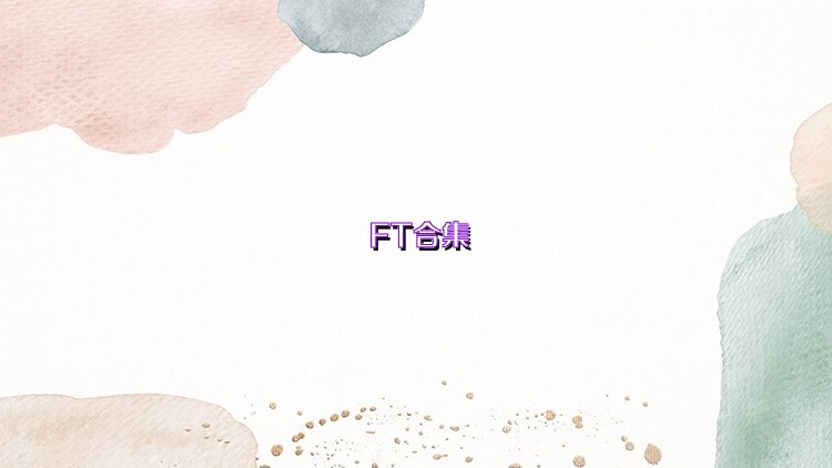 FT合集