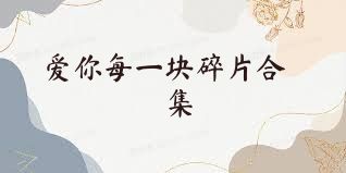 爱你每一块碎片合集