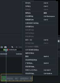Camtasia Studio怎么调亮画面
