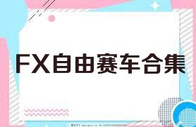 FX自由赛车合集