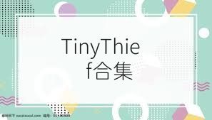 TinyThief合集
