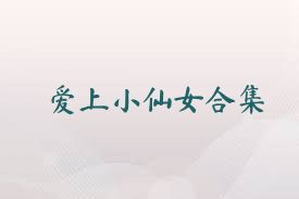 爱上小仙女合集
