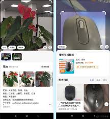 vivo浏览器扫一扫功能位置在哪