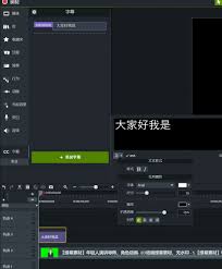 Camtasia2024中动态花字字幕效果是什么
