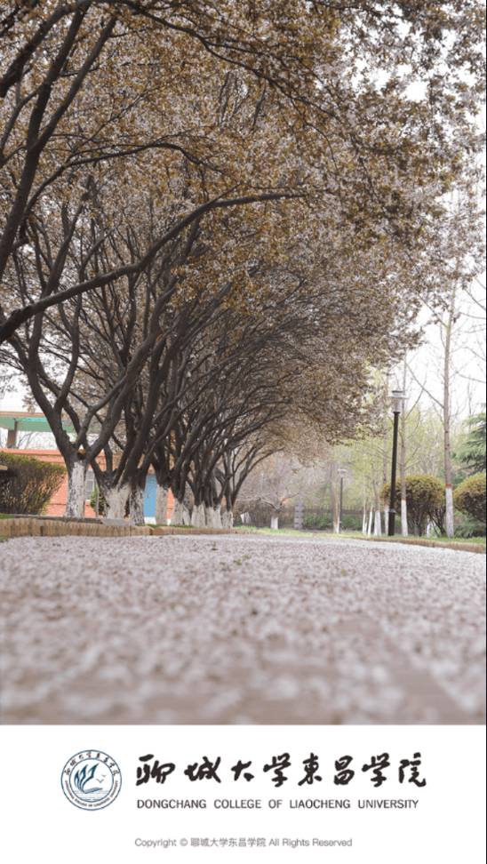 聊城大学东昌学院免费版