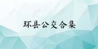 环县公交合集