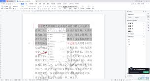 如何在WPS中查看字体样式