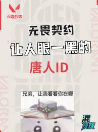 无畏契约手游有哪些小众id