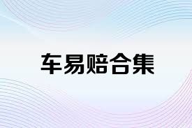 车易赔合集
