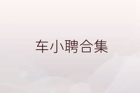 车小聘合集