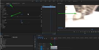 premiere怎么制作残影特效