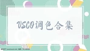 VSCO调色合集